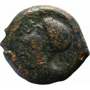 Sycylia, Syrakuzy, Litra brązowa 409-395 p.n.e - hippokamp