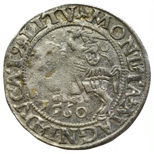 Sigismund II Augustus, Halfgroat 1560, Vilnius - LI/LITVA