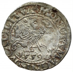 Sigismund II Augustus, Halfgroat 1559, Vilnius