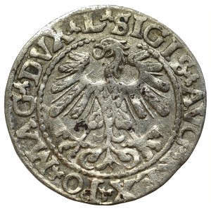 Sigismund II Augustus, Halfgroat 1559, Vilnius