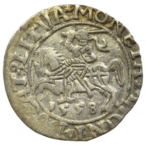 Sigismund II Augustus, Halfgroat 1558, Vilnius