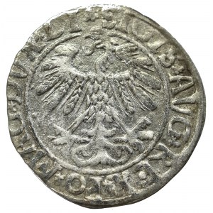 Sigismund II Augustus, Halfgroat 1558, Vilnius