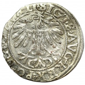Sigismund II August, Half-groat 1557, Vilnius - LI/LITVA