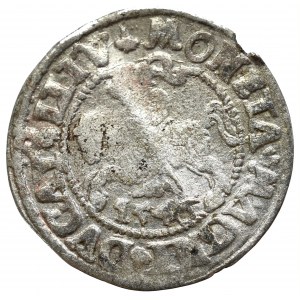 Sigismund II Augustus, Halfgroat 1546, Vilnius