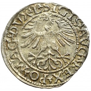 Sigismund II Augustus, Halfgroat 1561, Vilnius