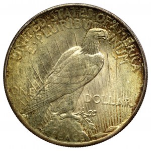 USA, 1 dolar 1925 Peace dollar