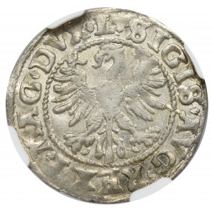 Zygmunt II August, Półgrosz 1546, Wilno - L/LITV NGC MS63