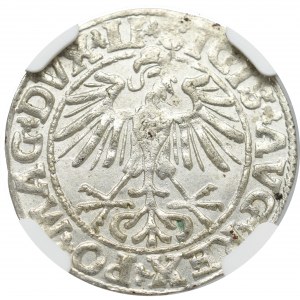 Zygmunt II August, Półgrosz 1550, Wilno - LI/LITVA NGC MS66