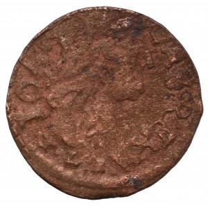 John II Casimir, Solidus 1664