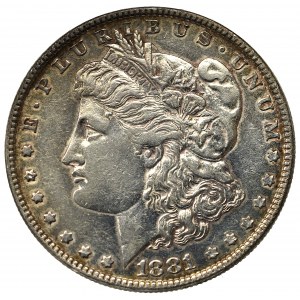 USA, Dolar 1881 Morgan Dollar