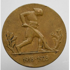 II RP, Medal Dziesięciolecia Odzyskanej Niepodległości, 1928