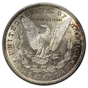 USA, Dolar 1881 Morgan Dollar