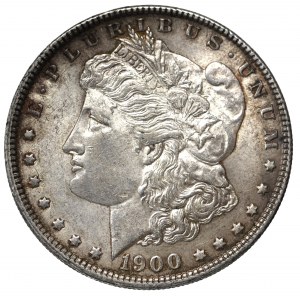 USA, Morgan Dollar 1900