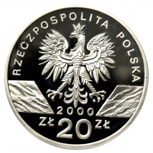 III RP, 20 złotych 2000 Dudek