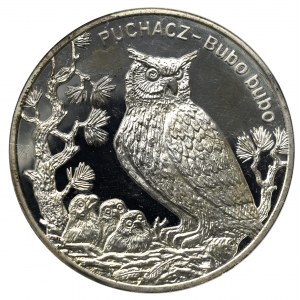 III RP, 20 złotych 2005 Puchacz