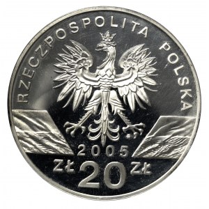 III RP, 20 złotych 2005 Puchacz