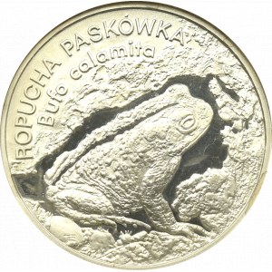 III RP, 20 złotych 1998 Ropucha Paskówka