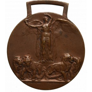 Włochy, Medal Za I Wojnę Światową