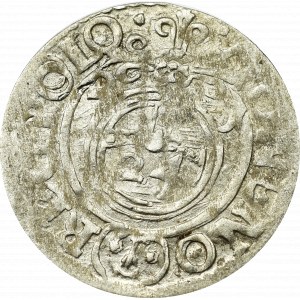 Žigmund III Vasa, Półtorak 1621, Bydgoszcz - SIGIS