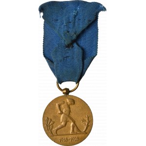 Druhá republika, medaila k desiatemu výročiu znovuzískania nezávislosti