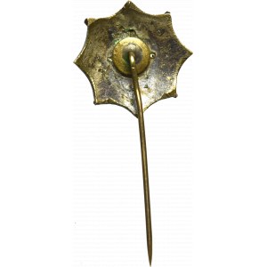 II RP, Miniature of the Upper Silesian Star - rare