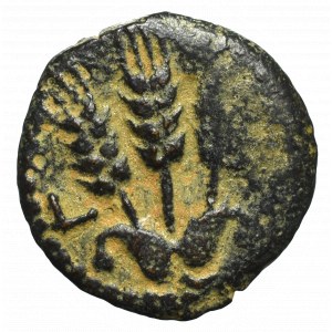 Judea, Herodian Kingdom, Agrippa I (37-44), Prutah