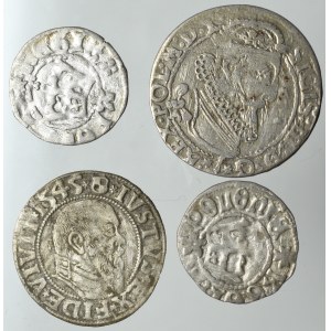 Sada polských královských mincí