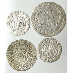 Sada polských královských mincí