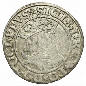 Zikmund I. Starý, groš za pruské země 1531, Toruň - PRVS/PRVSS