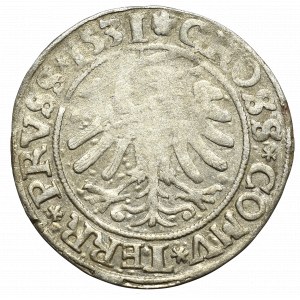 Zikmund I. Starý, groš za pruské země 1531, Toruň - PRVS/PRVSS