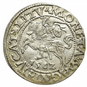 Sigismund II Augustus, Halfgroat 1562, Vilnius