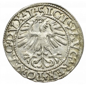 Sigismund II Augustus, Halfgroat 1562, Vilnius