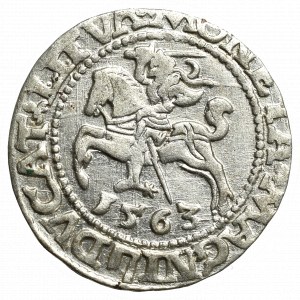 Zygmunt II August, Półgrosz 1563, Wilno - L/LITVA