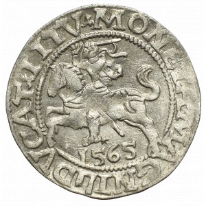 Sigismund II Augustus, Halfgroat 1565, Vilnius