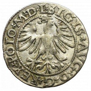 Sigismund II Augustus, 1/2 groschen 1565, Vilnius - L/LITVA