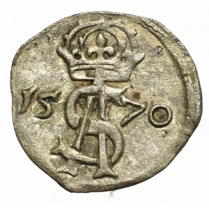 Sigismund II Augustus, 2 denarii 1570, Vilnius