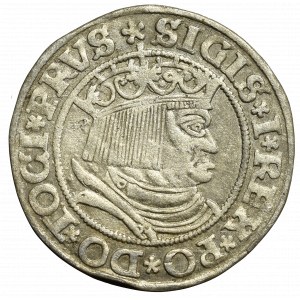 Zygmunt I Stary, Grosz dla ziem pruskich 1532, Toruń - PRVS/PRVSSI