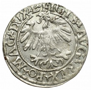 Sigismund II Augustus, Halfgroat 1559, Vilnius