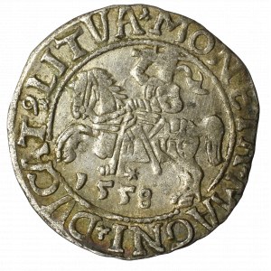 Sigismund II Augustus, Halfgroat 1558, Vilnius