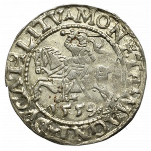 Sigismund II Augustus, Halfgroat 1559, Vilnius