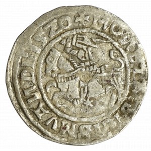 Žigmund I. Starý, polgroš 1520, Vilnius - vzácny