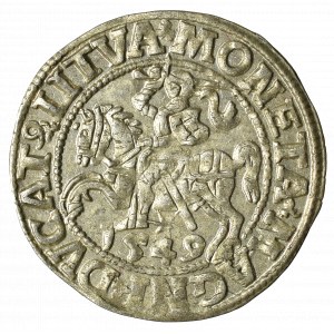 Sigismund II Augustus, Halfgroat 1549, Vilnius