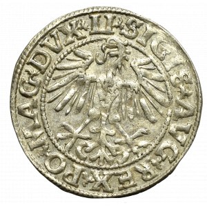 Sigismund II Augustus, Halfgroat 1549, Vilnius