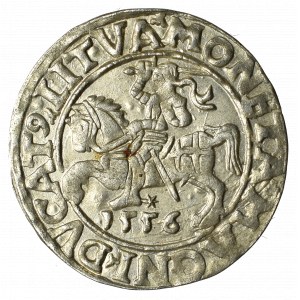 Zygmunt II August, Półgrosz 1556, Wilno - L/LITVA