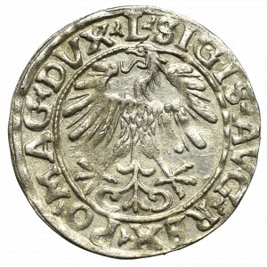Žigmund II August, polgroš 1556, Vilnius - L/LITVA