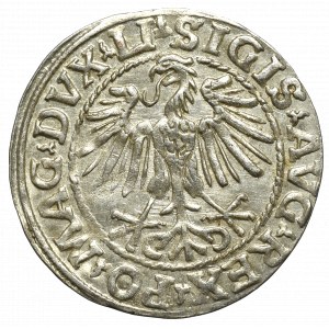 Zygmunt II August, Półgrosz 1548, Wilno - LI/LITVA RZYMSKA