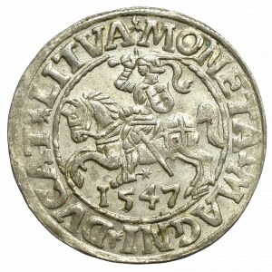 Sigismund II Augustus, Halfgroat 1547, Vilnius - L/LITVA