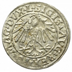 Zygmunt II August, Półgrosz 1547, Wilno - L/LITVA