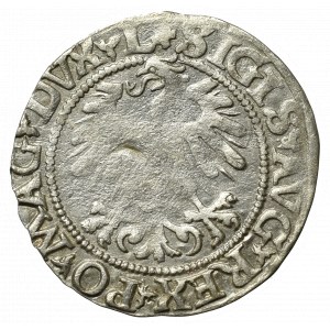 Sigismund II Augustus, Halfgroat 1560, Vilnius - L/LITVA