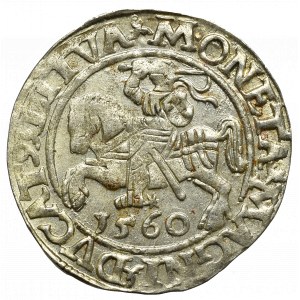 Sigismund II Augustus, Halfgroat 1560, Vilnius - LI/LITVA